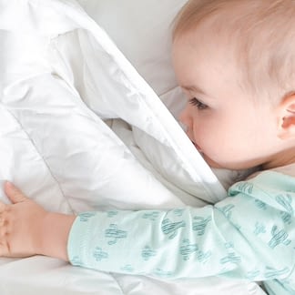 organic crib set