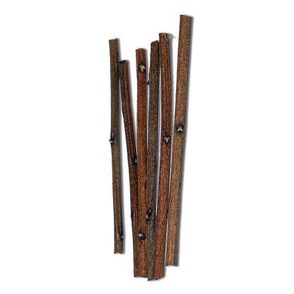 neem toothbrush